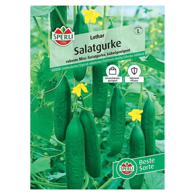 Salatgurke Lothar F1 Gemüsesamen - Sperli