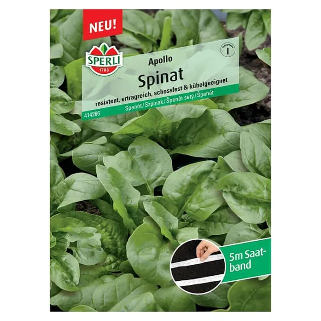 Spinat Apollo F1 Saatband Gemüsesamen - Sperli