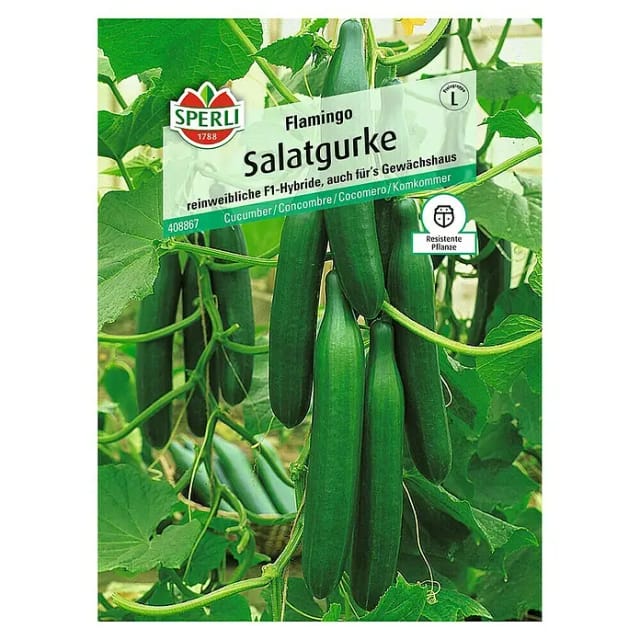 Salatgurke Flamingo F1 Gemüsesamen - Sperli