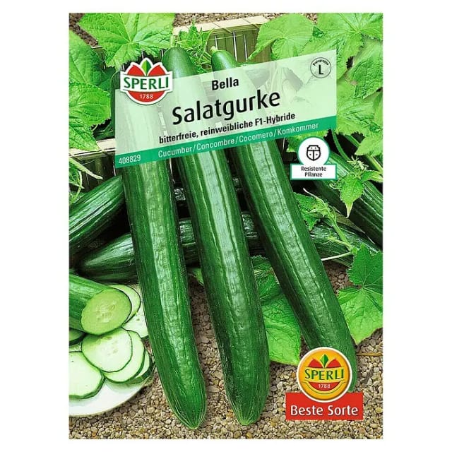 Salatgurke Bella F1 Gemüsesamen - Sperli