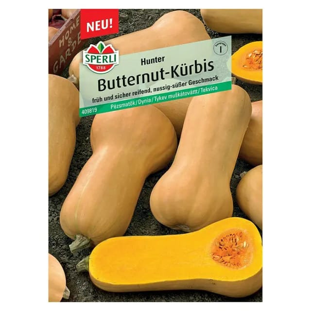 Butternutkürbis Hunter F1 Gemüsesamen - Sperli
