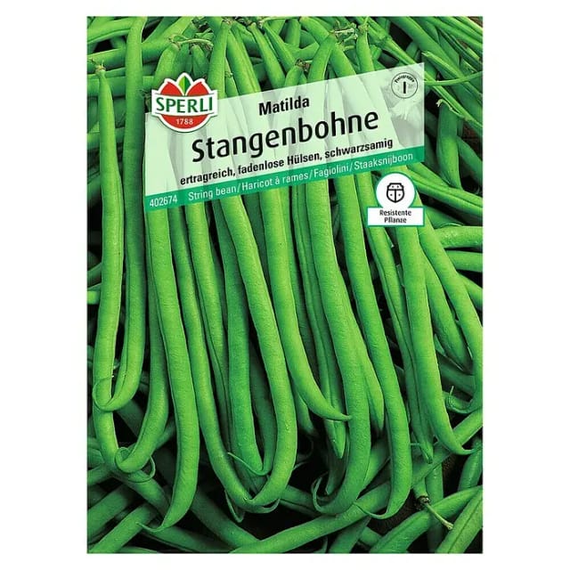 Stangenbohne Matilda Gemüsesamen - Sperli