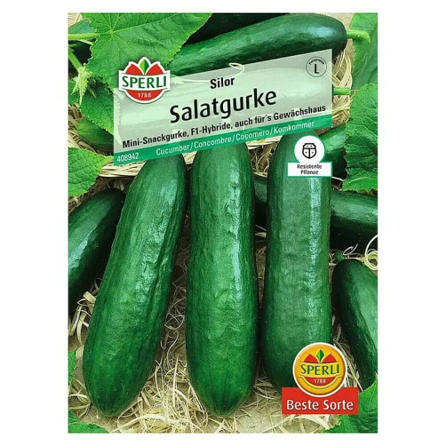 Sperli Salatgurke Silor F1 Gemüsesamen