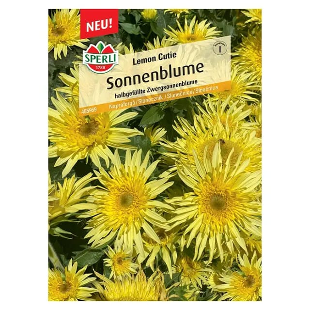 Sperli Sonnenblume Lemon Cutie Gemüsesamen