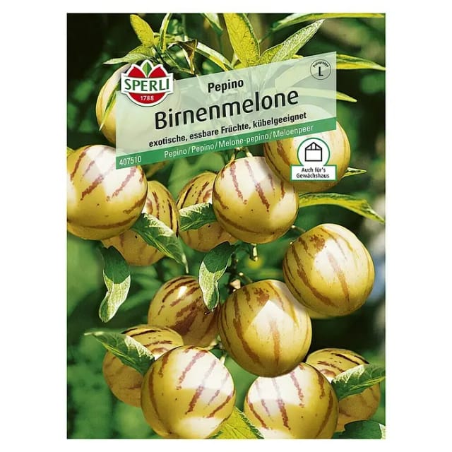 Birnenmelone Pepino Gemüsesamen - Sperli