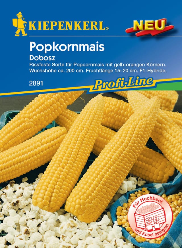Popkornmais Dobosz F1 Gemüsesamen - Kiepenkerl