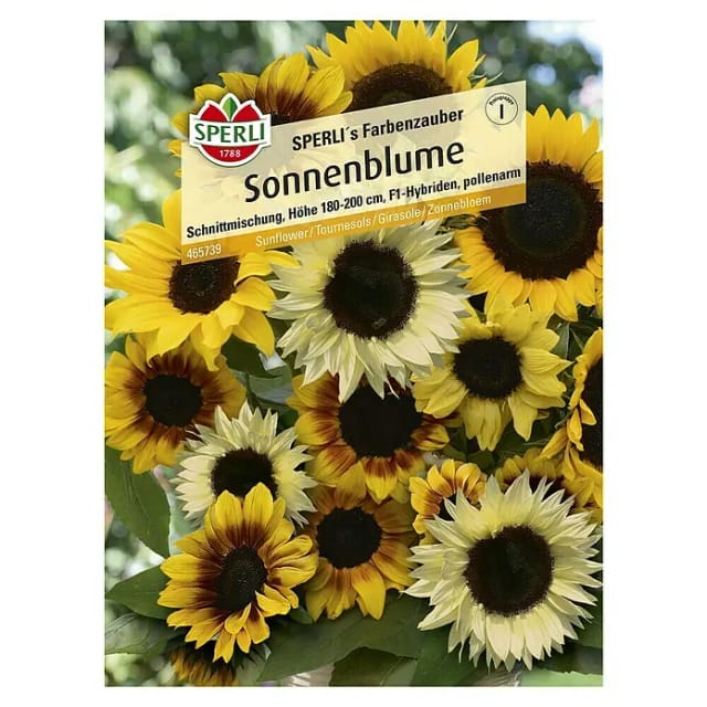 Sonnenblume Schnittblumen-Mischung F1 Gemüsesamen - Sperli