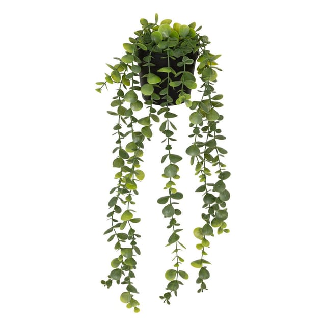 Künstlicher Eukalyptus im Topf Merly grün H51cm - Dunkelgrün