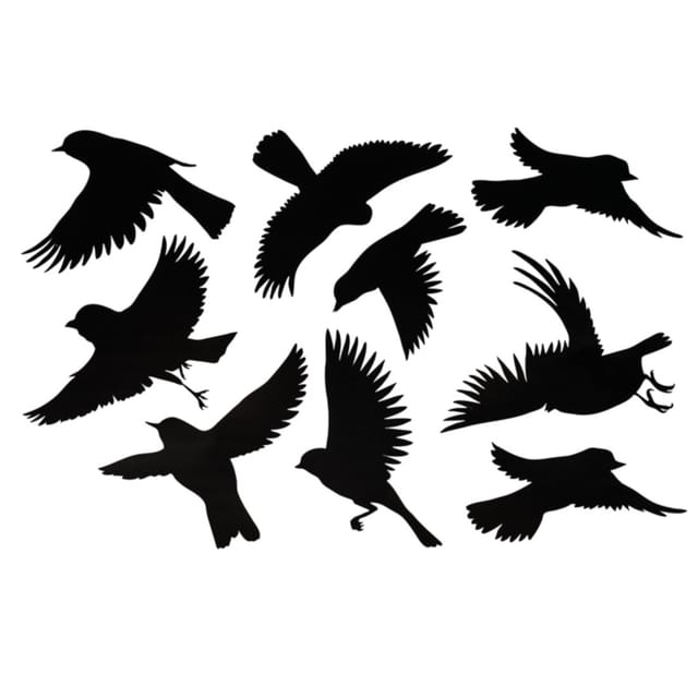 Warnvögel Aufkleber-Set für Fensterscheiben, 6 Stück x 10 Blatt
