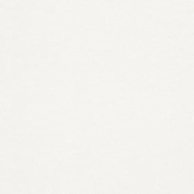 Rasch - Vliestapete 658408 Tapete Uni Einfarbig 75 x 2500 cm Makulaturvlies Weiß