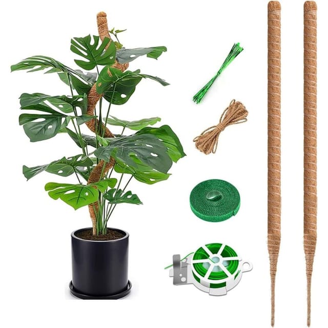 Jalleria - Monstera-Stab, 75 cm Kokosstab, flexibler Moosstab für Monstera mit Zubehör, Kokosfaserstab für Kletterpflanzen im Innenbereich