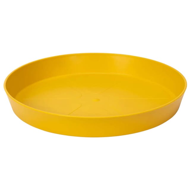 Elho - Loft Untersetzer Ockergelb ø 21 cm rund - Kunststoff