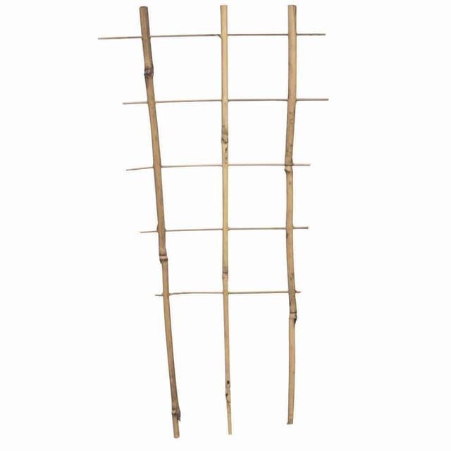 Siena Garden - Bambus Rankgitter 30 cm 30 x 17 x 8 cm