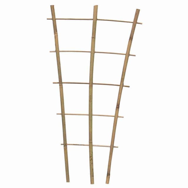 Bambus Rankgitter 60 cm 60 x 28 x 12 cm