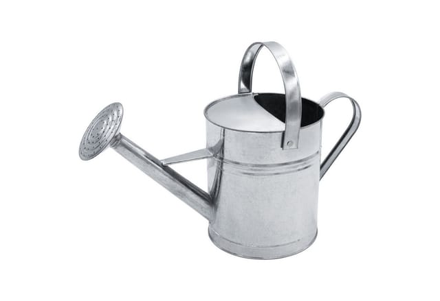 Spetebo - Zink Gießkanne mit Brausekopf silber - 5 Liter - Blumen Kanne für Innen und Außen