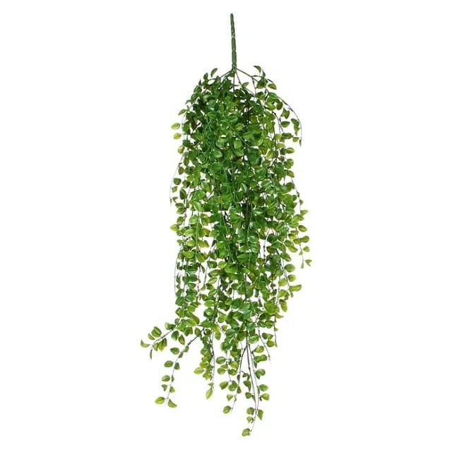 Mica Decorations - Mica Kunstpflanze Ficus grün, 81 cm Kunstpflanzen