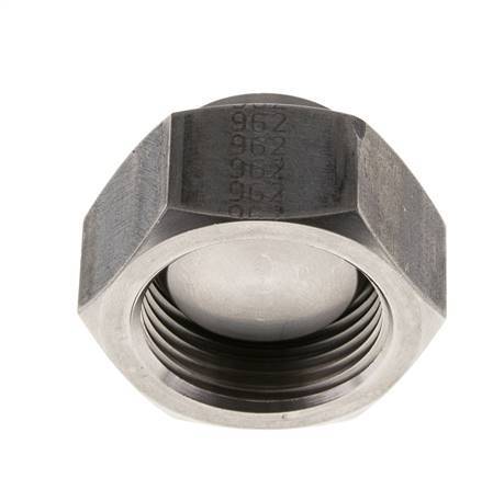 Endkappe G1'' Edelstahl mit Außensechskant 60° Konus 150bar (2107.5psi) Hydraulisch Bild 2