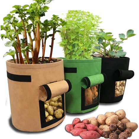Sac De Jardinage Pour Plantes Et Légumes 30x30x35cm – Tissu Noël Tissé Anti-corrosion – Fenêtre Respirante – 1 Sac De Culture - 8inch