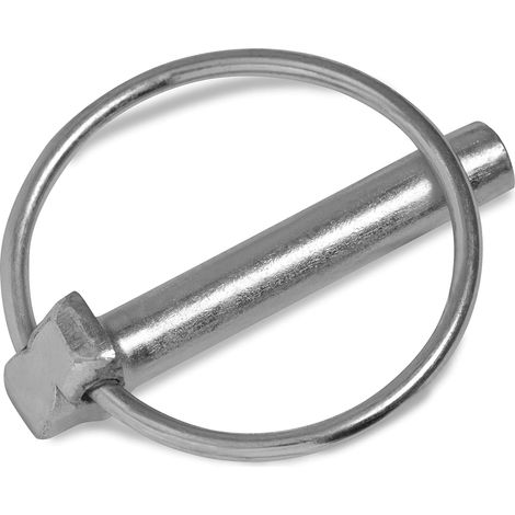 Stifte 6 Mm X 45 Mm Stifte 6,0 Mm [10 Stück] Galvanisch Verzinkt