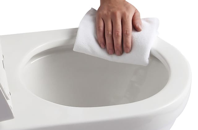 Primaster - Wand wc spülrandlos Pandora Tiefspüler weiß inkl. wc Sitz WCs