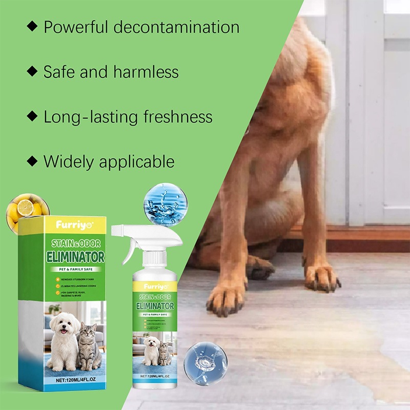 Fleckenentferner Für Haustiere, Zersetzer Von Katzen- Und Hundeurinflecken Und -gerüchen, Reinigungsmittel Für Die Umgebung Von Haustieren – Fleckenentferner Für Haustiere -- Biemmedue