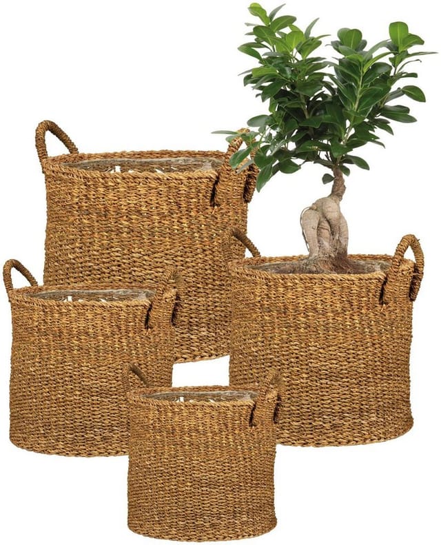 Scheurich - Seagrass 33, Korbgefäß/Korb-Pflanzgefäß/Korbtopf mit Griffen aus Seagrass Farbe: Nut, 35 cm Durchmesser, 31 cm hoch, 26,9 l Vol.