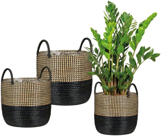 Scheurich - Seagrass 27, Korbgefäß/Korb-Pflanzgefäß/Korbtopf mit Griffen aus Seagrass Farbe: Nature Black, 27 cm Durchmesser, 23,5 cm hoch, 13,1 l