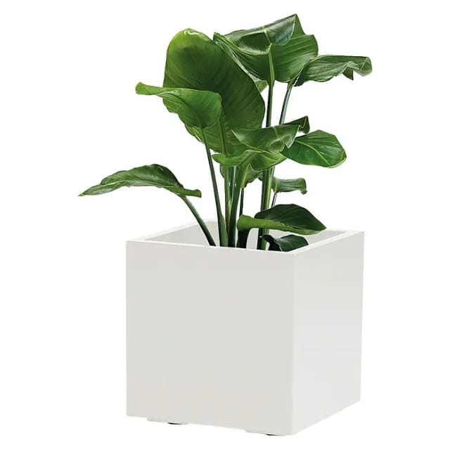 Pflanzkübel greener kebe 40 cm weiß