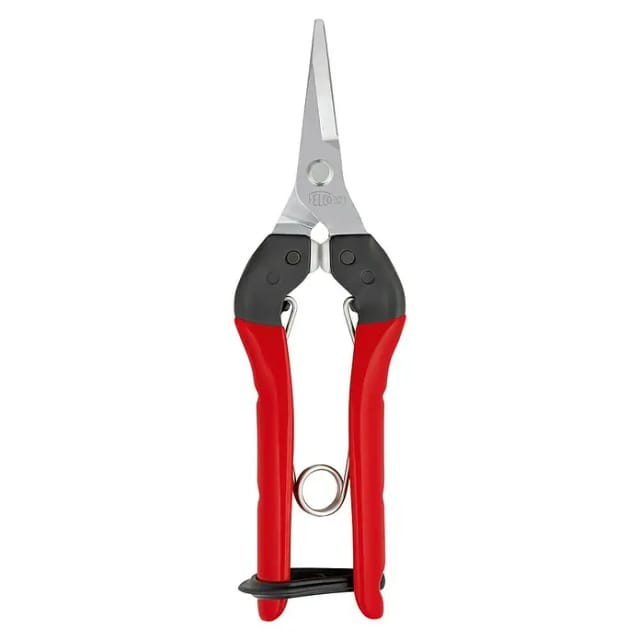Ernte-/ Leseschere Nr. 321 für Obst- Gemüsestiele gerade Klinge Stahlgriff - Felco