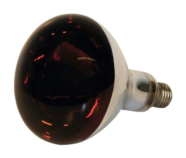 Kerbl - Infrarotlampe 250 w Hartglas, rot Wärmelampe für Ferkel / Küken Rotlicht