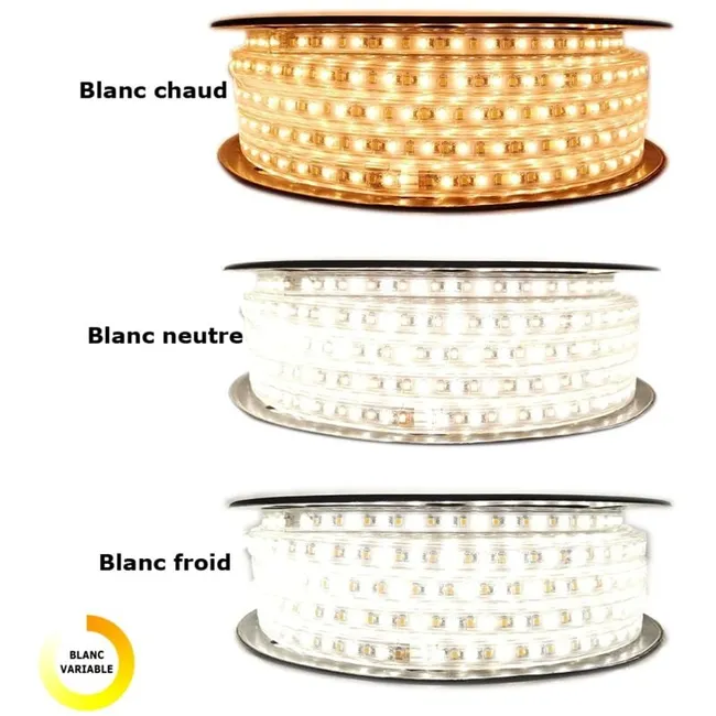 Kit Ruban Led Professionnel 5050 60 Led/m De 25 Ou 50 Mètres Rgb Étanche (ip67) Avec Contrôleur 220v Longueur: 50 Mètres (sku Produit : 93627085 Sku Offre : 1101dd33)