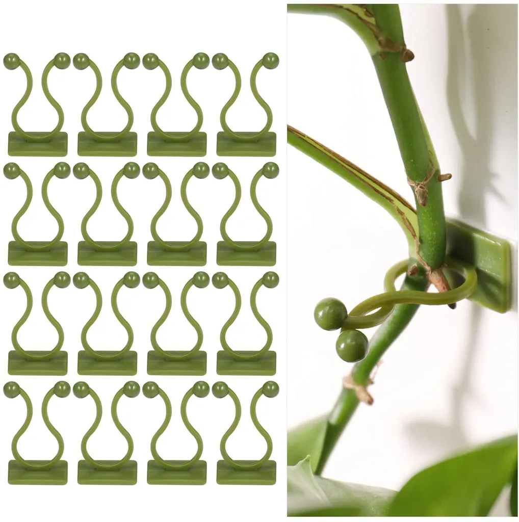 100stück Selbstklebende Pflanzenclips, Langlebige Wandbefestigung Ohne Bohren Für Pflanzen, Geeignet Für Erstellen Von Pflanzenwänden, Pflanzenhaken Für Kletterpflanzen