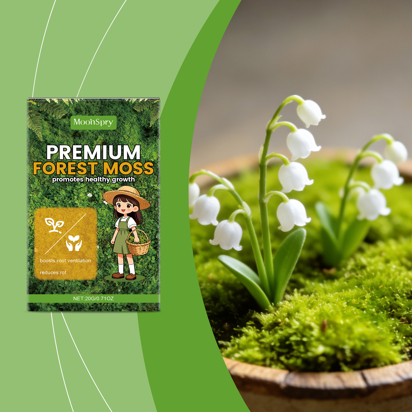 Vielseitig Verwendbares Moos, Geeignet Für Gartenarbeit Und Innendekoration, Pflegeleicht, Geeignet Für Pflanzenklima Und Luftfeuchtigkeit – 20 G -- Biemmedue