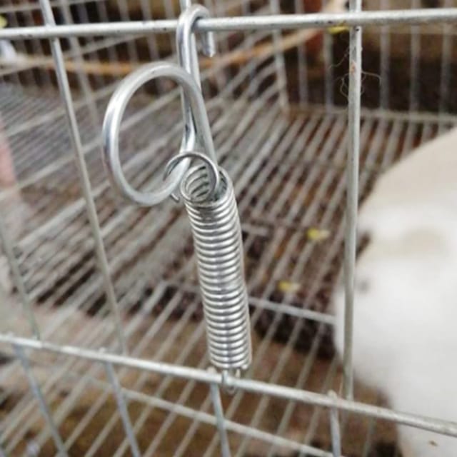 Zoternen - Haofy 20 Stück Multifunktionale Käfigtür Federhaken Metall Finger Feder Verriegelungshaken, Metall Finger Feder, Zur Befestigung der