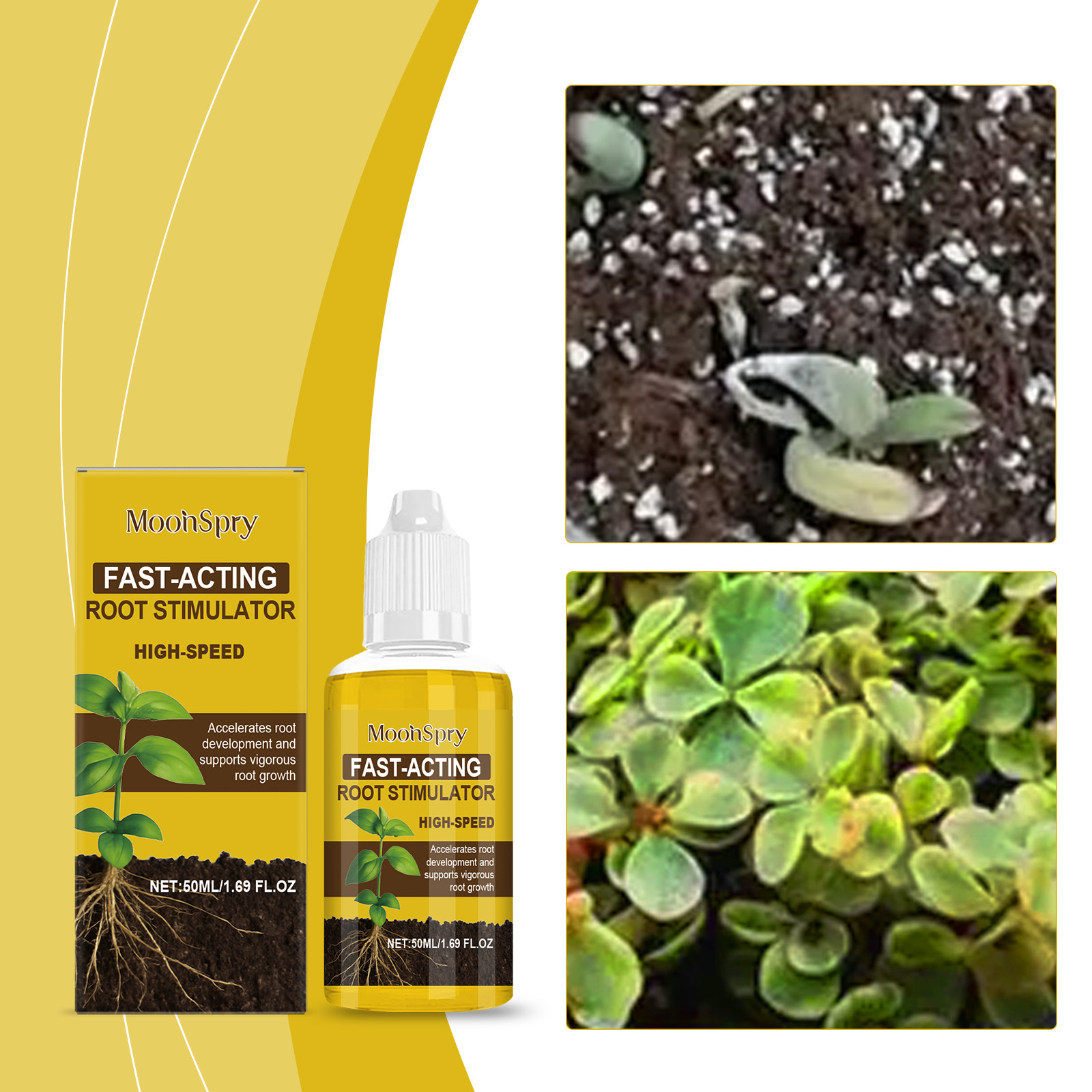 Flüssigdünger Zur Wurzelnährung Für Zimmer- Und Gartenpflanzen – 50 Ml -- Biemmedue