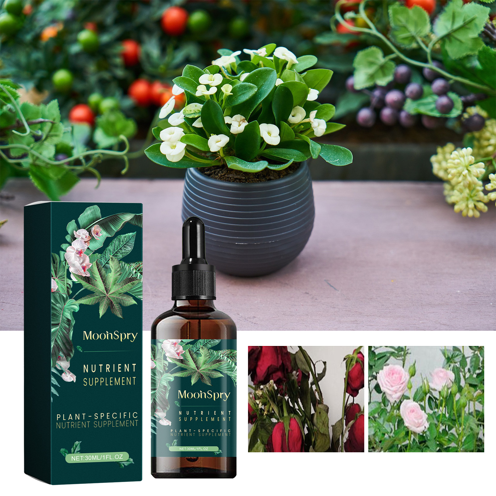 Nährlösung Für Hydroponisch Gezogene Topfblumen, Gemüse Und Bambus – 30 Ml -- Biemmedue