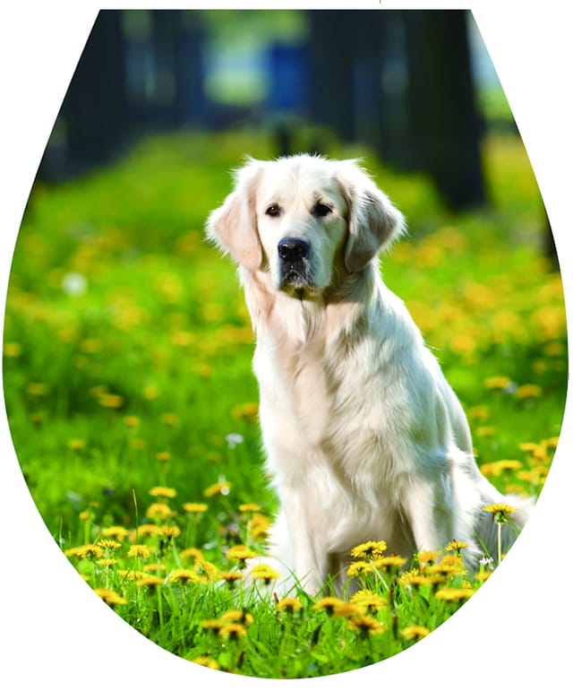 Toilettensitzaufkleber "Hund" mit den Maßen 32x38cm