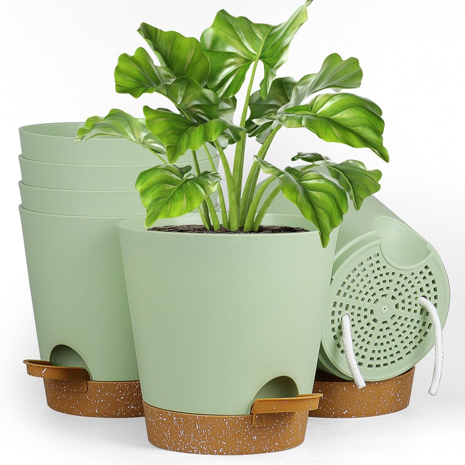 6er Set Selbstbewässernde Blumentöpfe 17.8cm Mit Untersetzer Grün