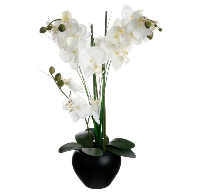 Künstliche Orchidee - schwarze Keramikvase - H53 cm