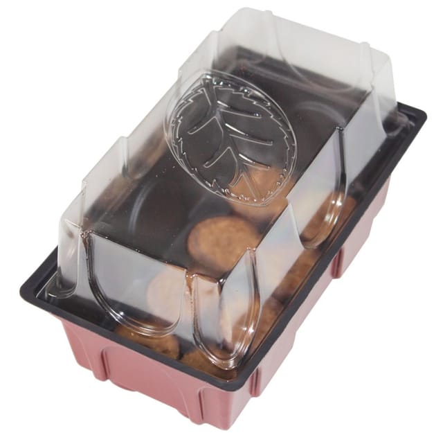 Gewächshaus mit 8 Tabletten 19 x 11 x 11 cm
