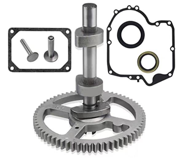 793880 Briggs & Stratton 793583 792681 791942 795102 Vevhuskamaxelsats 84005207 Kamaxelbyte