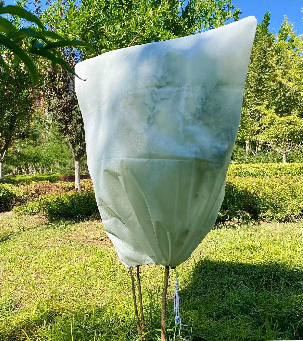 Voile D'Hivernage Plante Housses Protection Beige 80g/m² 100 Cm X 120 Cm Avec Fermeture Éclair Pour Plantes Palmiers En Pot D'Olivier Résistant Aux Dé