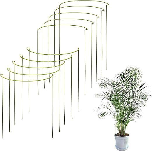 Kit De 10 Tuteurs Pour Plantes Grimpantes Et Fleurs - Tuteur Vert - Favorise La Croissance De Vos Plantes - Tuteurs Pour Tomates, Hortensias, Pivoines, Vivaces Et Plus Encore