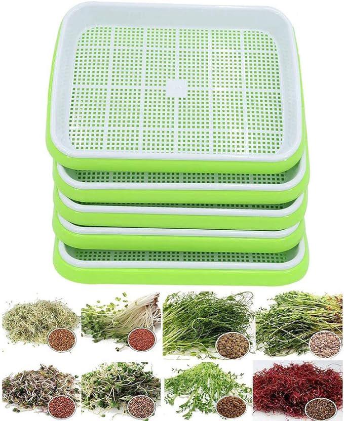 Kit De Germination Hydroponique Sans Terre À Deux Niveaux (5 Pièces) Avec Couvercle, Idéal Pour Le Jardinage Domestique.