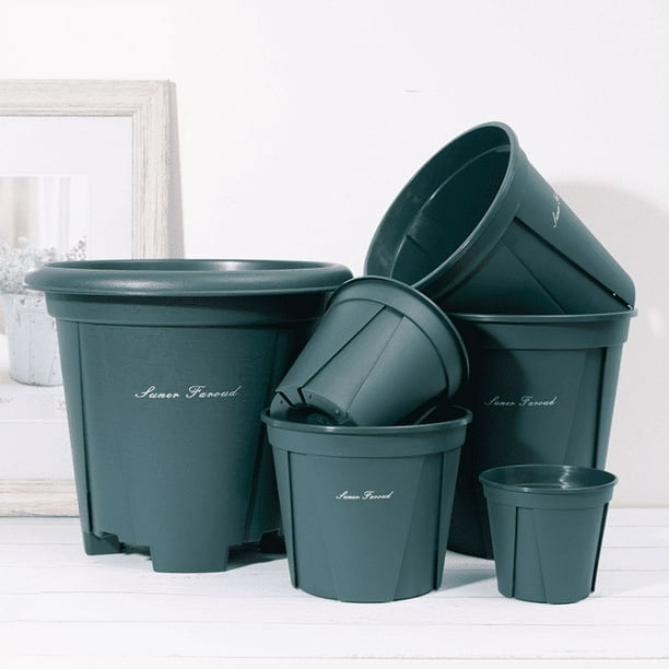 Sizes Plastic Pots With Trays-6 Succulent Plants In Aloe Vera Pots, Decorative Pots For Electronic Strawberry Root Control