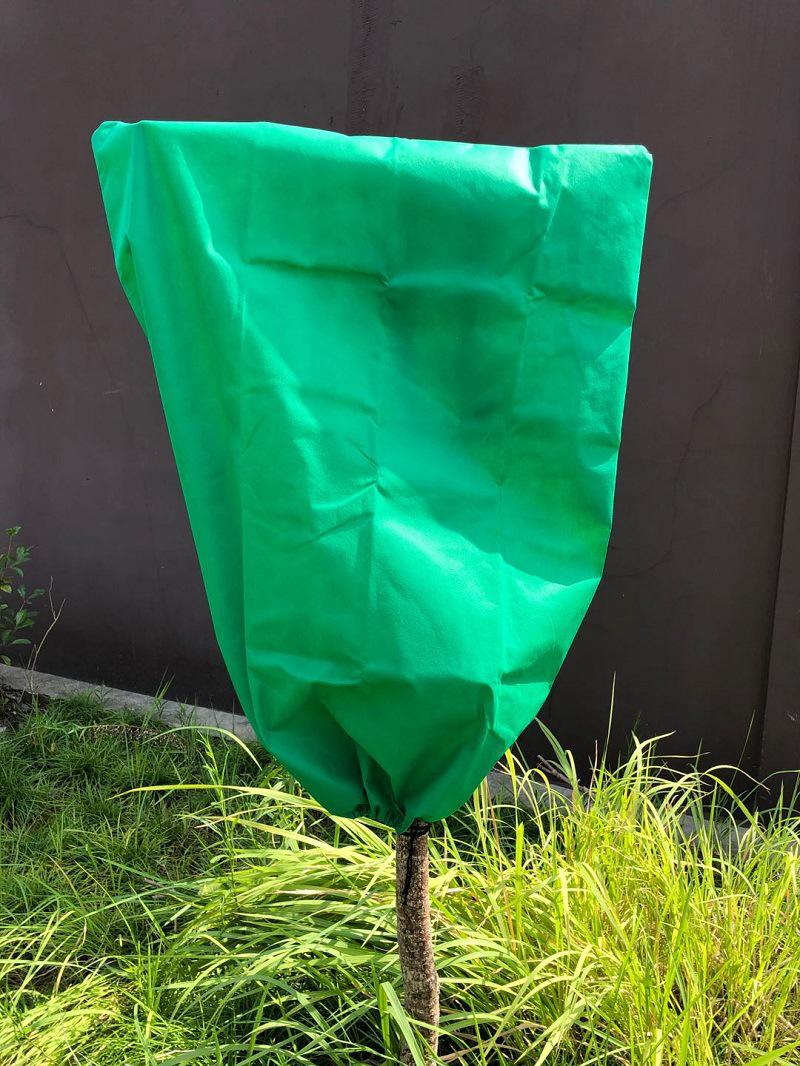 1 Protection Antigel Hivernale Pour Plantes (140 X 200 Cm)