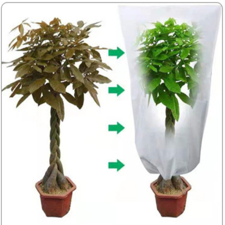 Lot De 2 Housses De Protection Pour Plantes Mangifera (240 X 220 Cm), Idéales Pour Les Plantes D'Extérieur. Tissu Épais Et Résistant, Avec Fermeture Éclair Et Cordon De Serrage. Convient Aux Pots De F