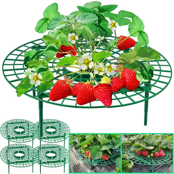 Lot De 50 Tuteurs À Fraises De 30 Cm En Polypropylène, Support Pour Plants De Fraisiers Permettant De Surélever Les Fruits Et D'Éviter La Pourriture Du Sol (50 Unités)