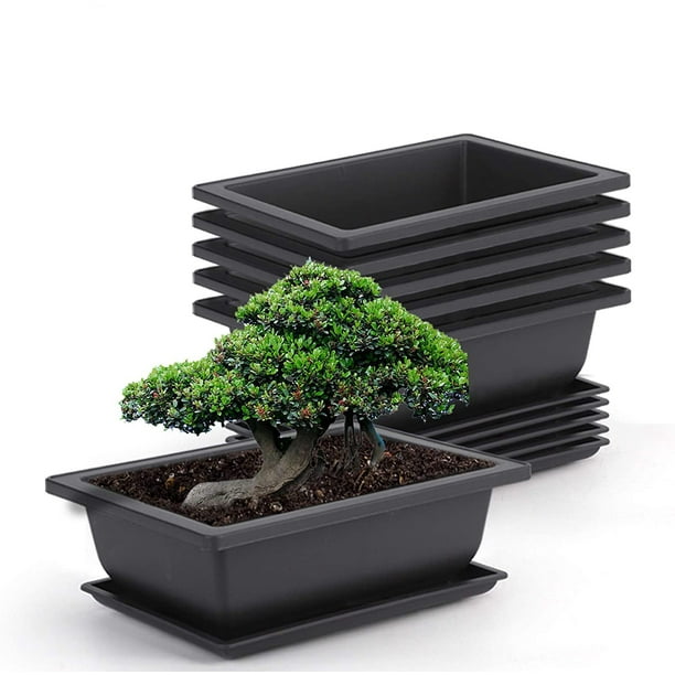 Lot De 6 Pots De Culture Pour Bonsaï De 23 Cm (9 Pouces), En Plastique, Pour Le Jardin, La Cour, Le Bureau, Le Salon, Le Balcon Et Plus Encore (petit Format)