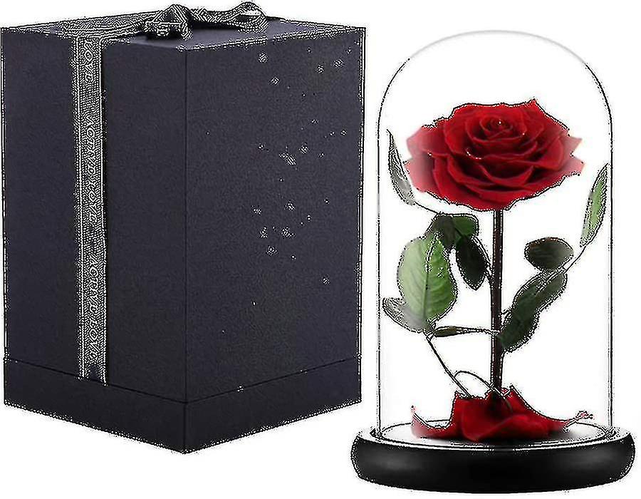 Hotselling Preserved Real Rose Eternal Rose In Glass Dome Gift For Her Thanksgiving